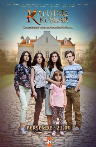 Птицы без крыльев (2017) смотреть онлайн