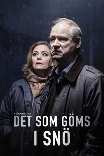 Что спрятано в снегу (2018) смотреть онлайн