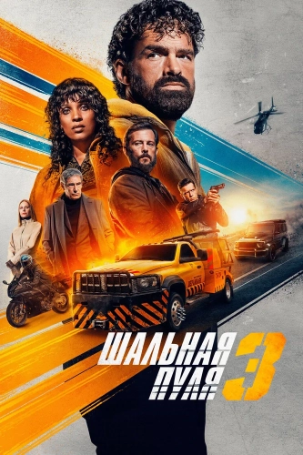 Шальная пуля 3 (2025) смотреть онлайн