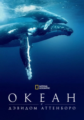 Дэвид Аттенборо: Океан