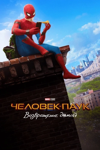 Человек-паук: Возвращение домой (2017) смотреть онлайн