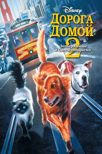 Дорога домой 2: Затерянные в Сан-Франциско (1996) смотреть онлайн