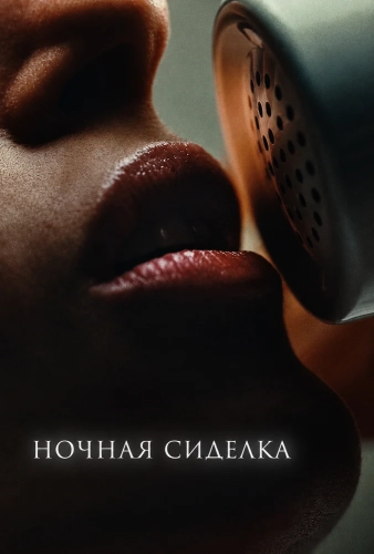 Ночная сиделка (2026) смотреть онлайн