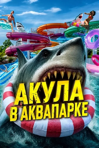 Акула в аквапарке