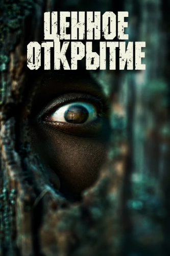 Ценное открытие (2026) смотреть онлайн
