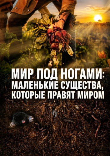 Мир под ногами: маленькие существа, которые правят миром (2023) смотреть онлайн