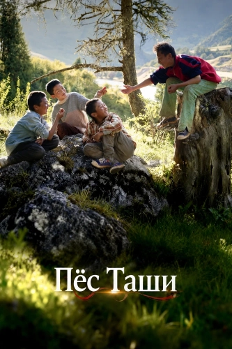 Пёс Таши (2024) смотреть онлайн